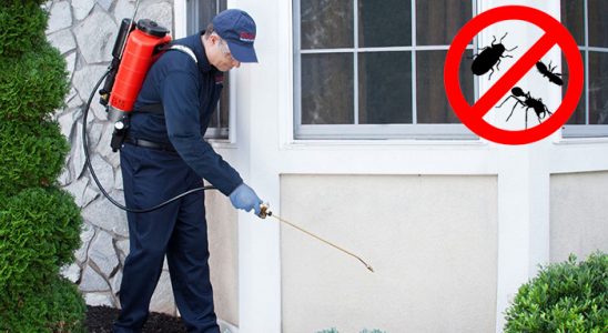 Uludere Gümüşkurt İlaçlama böcek ilaçlama ve haşere kontrolü — ilaclama-tr.com